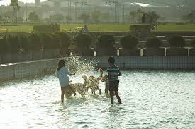 美堤河滨公园