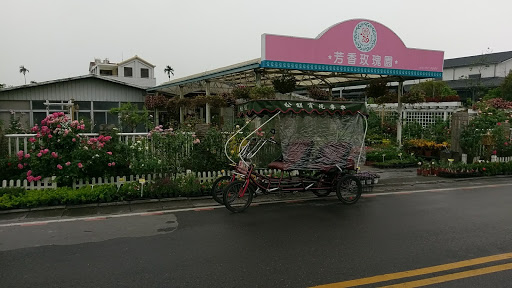 田尾芳香玫瑰园