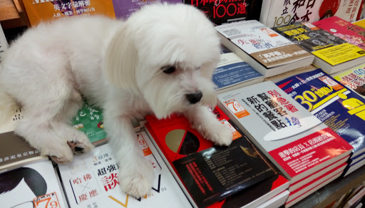 金石堂书局(新营店)