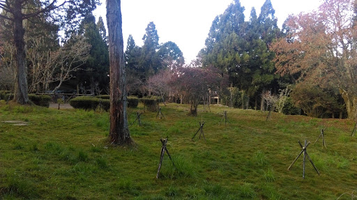 高山植物园