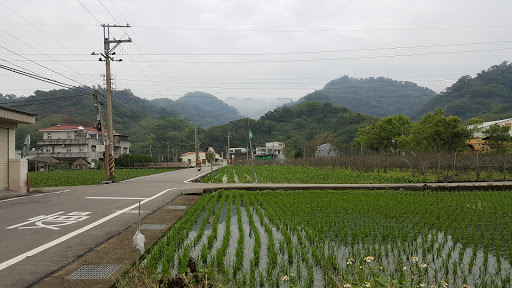 田园水圳社区