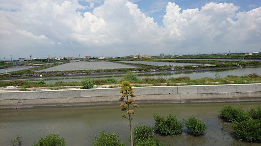 汉宝湿地