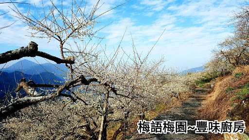 刘闯记刀削面