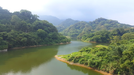 环湖草莓园