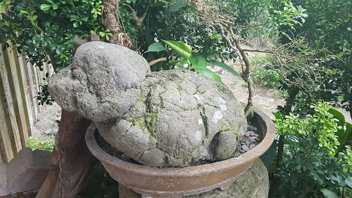 小氤南坪