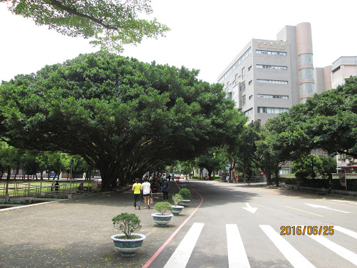 中原大学瑞丽堂