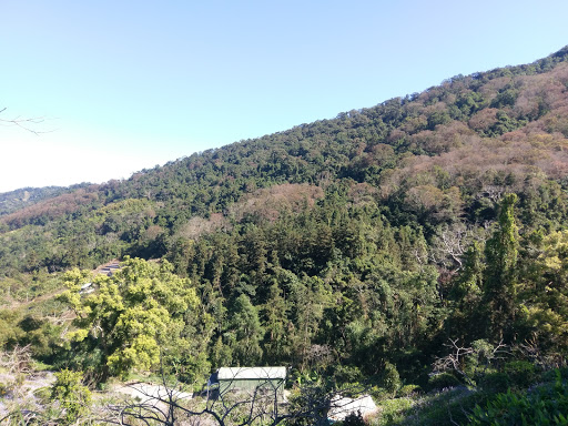 马那邦山登山步道(天然湖入口)