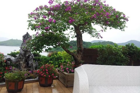 皇朝渔苑