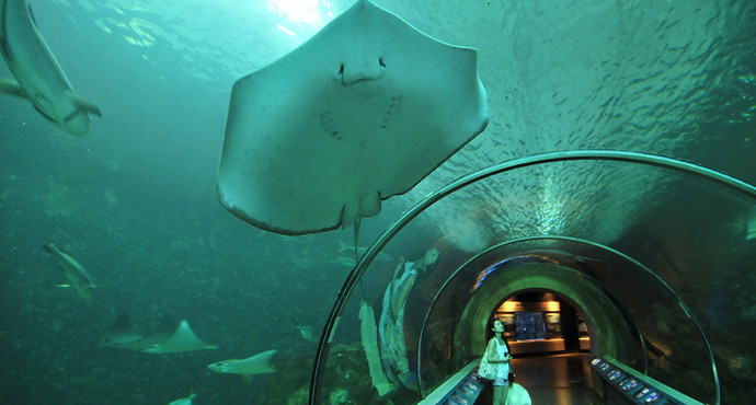 澎湖水族馆