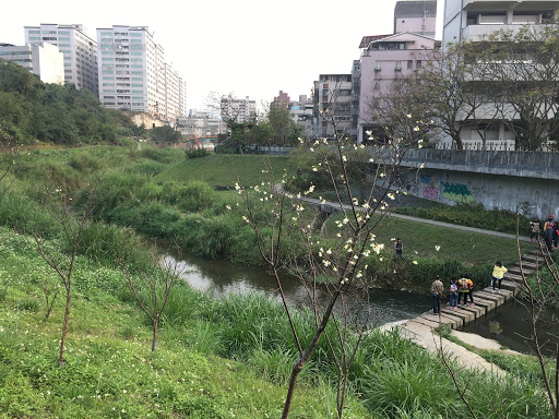 东湖樱花林