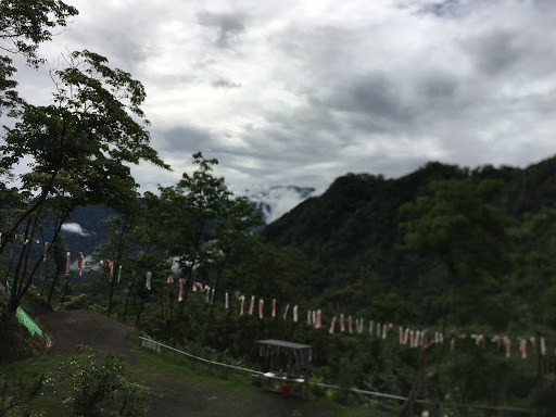 Hi 燥树排 露营地