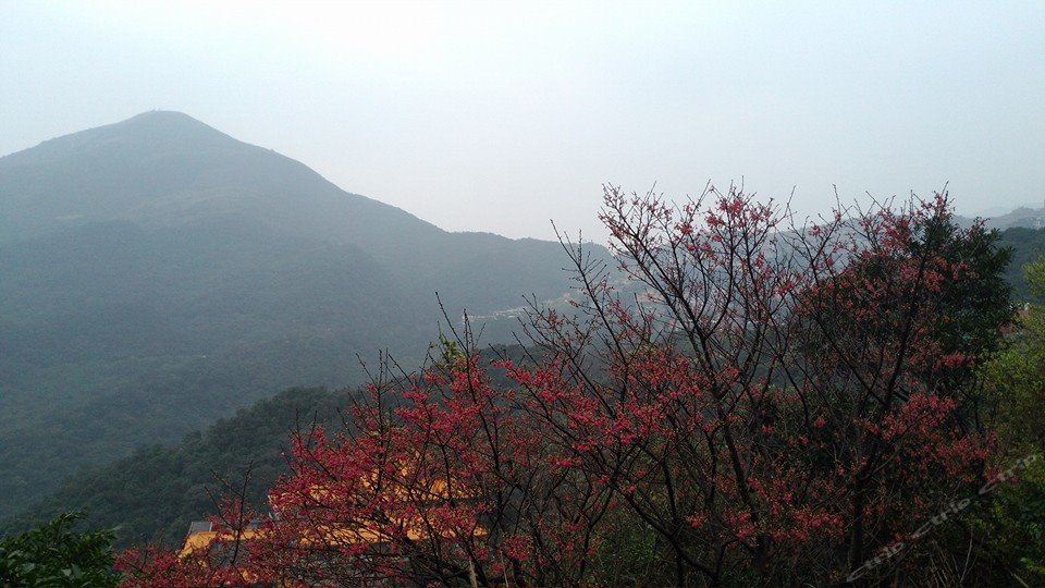 九份星空景观民宿-小角落 Jiufen Corner Inn