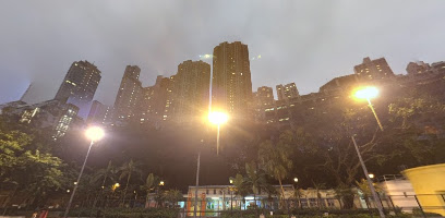 香港佐治五世纪念公园七人足球场(医院道)