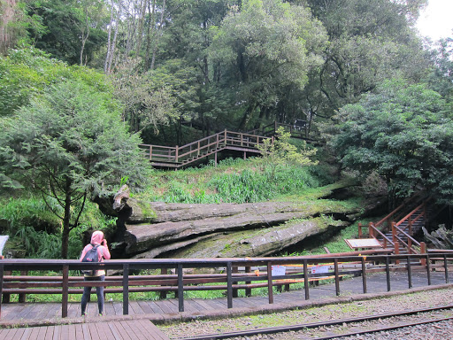 阿里山神木遗迹