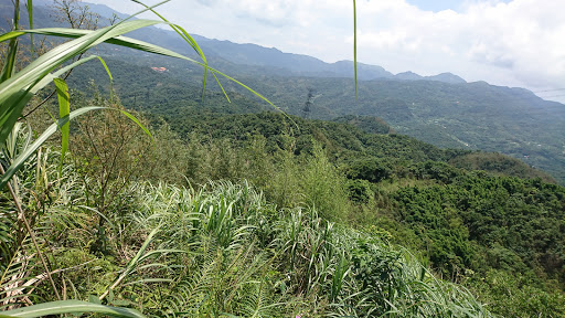 九分坑山