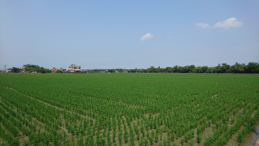 台湾冬山慈济祖宫