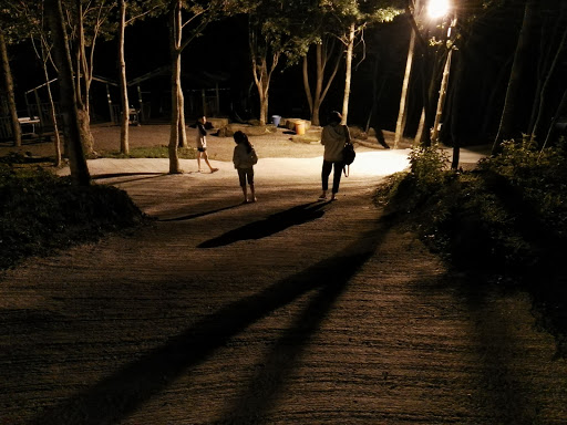 668露营区