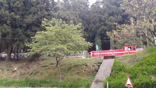 阿里山步道