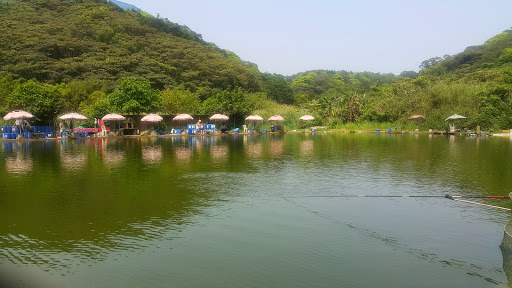 山水休闲鱼池