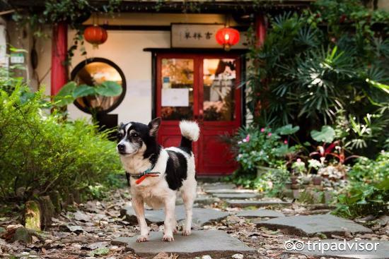 金口福醉鸡孢醺鸡专卖店