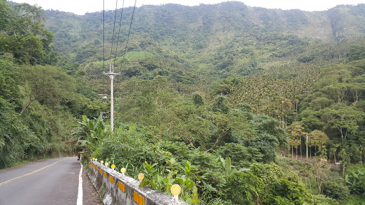 哭茶山