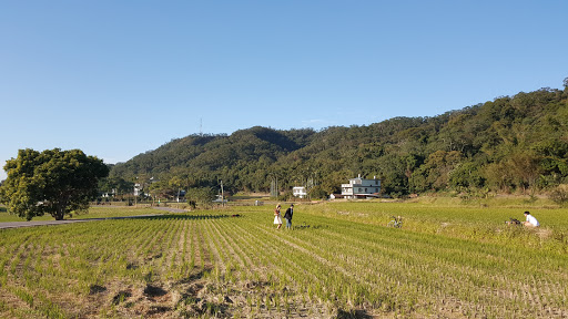 下山.幸福田