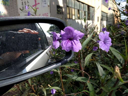 蕃茄村虔汉堡