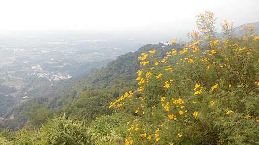 逍遥山庄