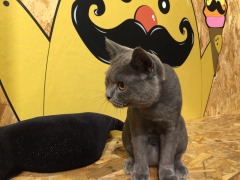 Coolplay酷顽创意霜淇淋(驳二店)