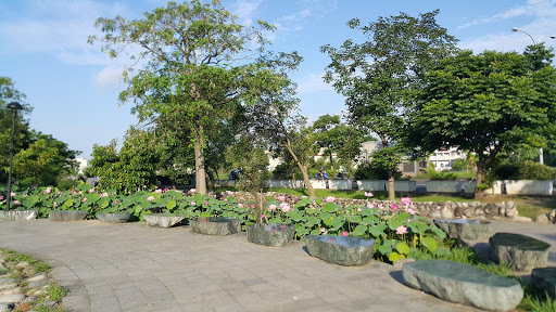 丰原葫芦墩公园