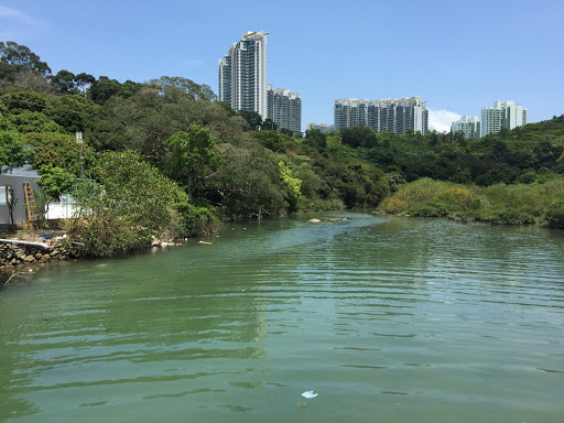 新华酒家