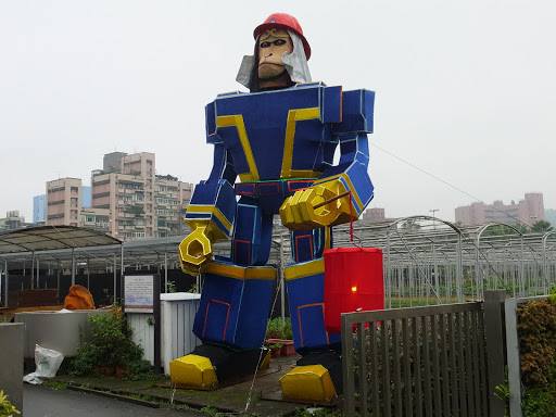 水源地苗圃