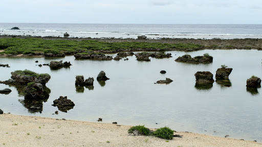 绿岛紫坪生态保育区