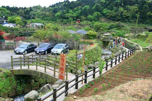 小瀑布海芋园