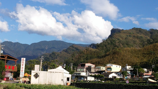 小蜜蜂草莓园