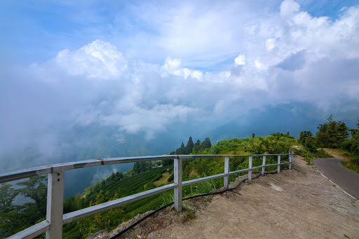 云山名宿