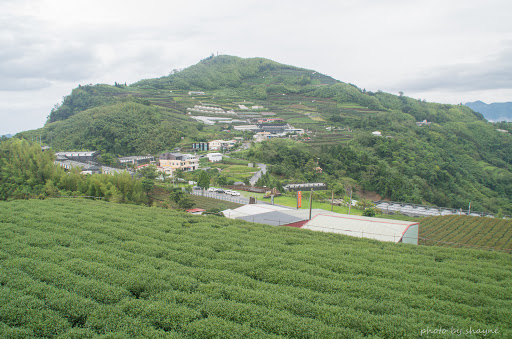 阿里山隙顶云海