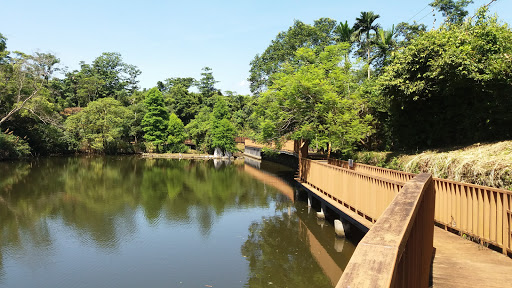 铜镜山林步道