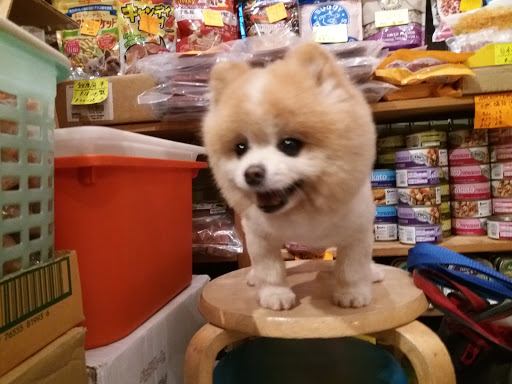 桃园茶餐厅