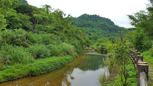 苓兰荷花池 亲水空间