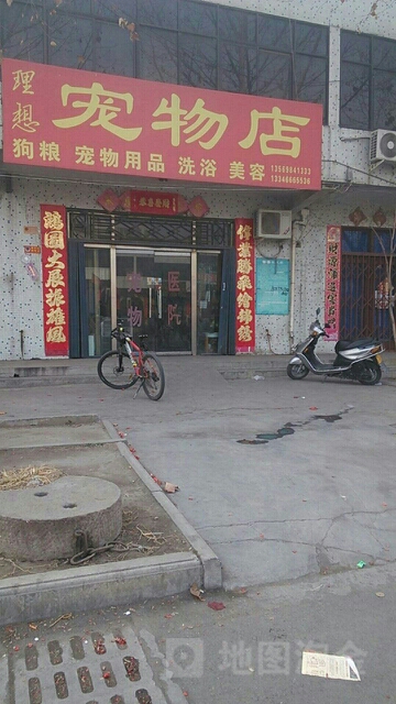 理想宠物