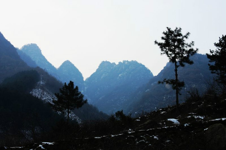 鄱阳风雨山国际森林公园