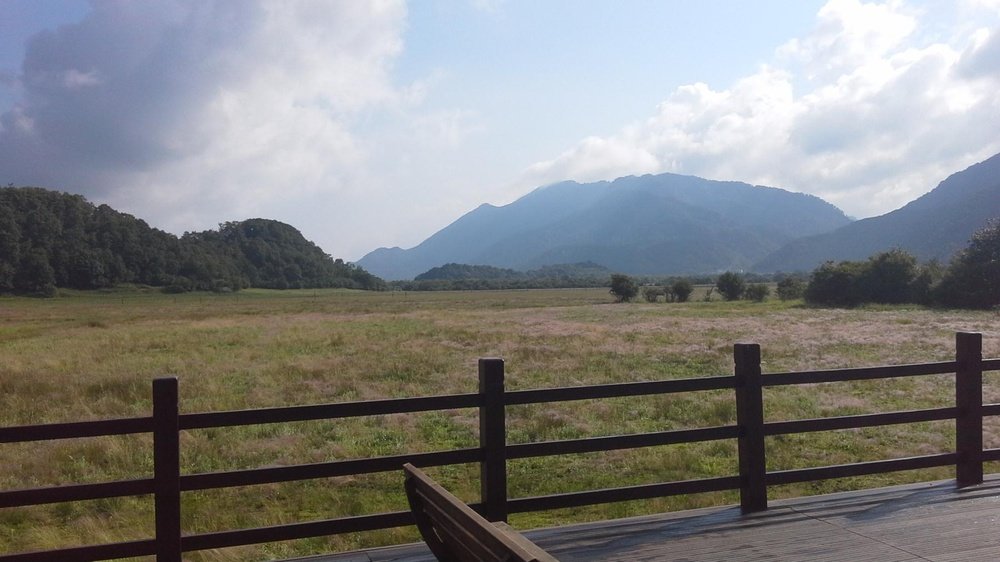 神农架林区神农架大九湖国家湿地公园-观景台