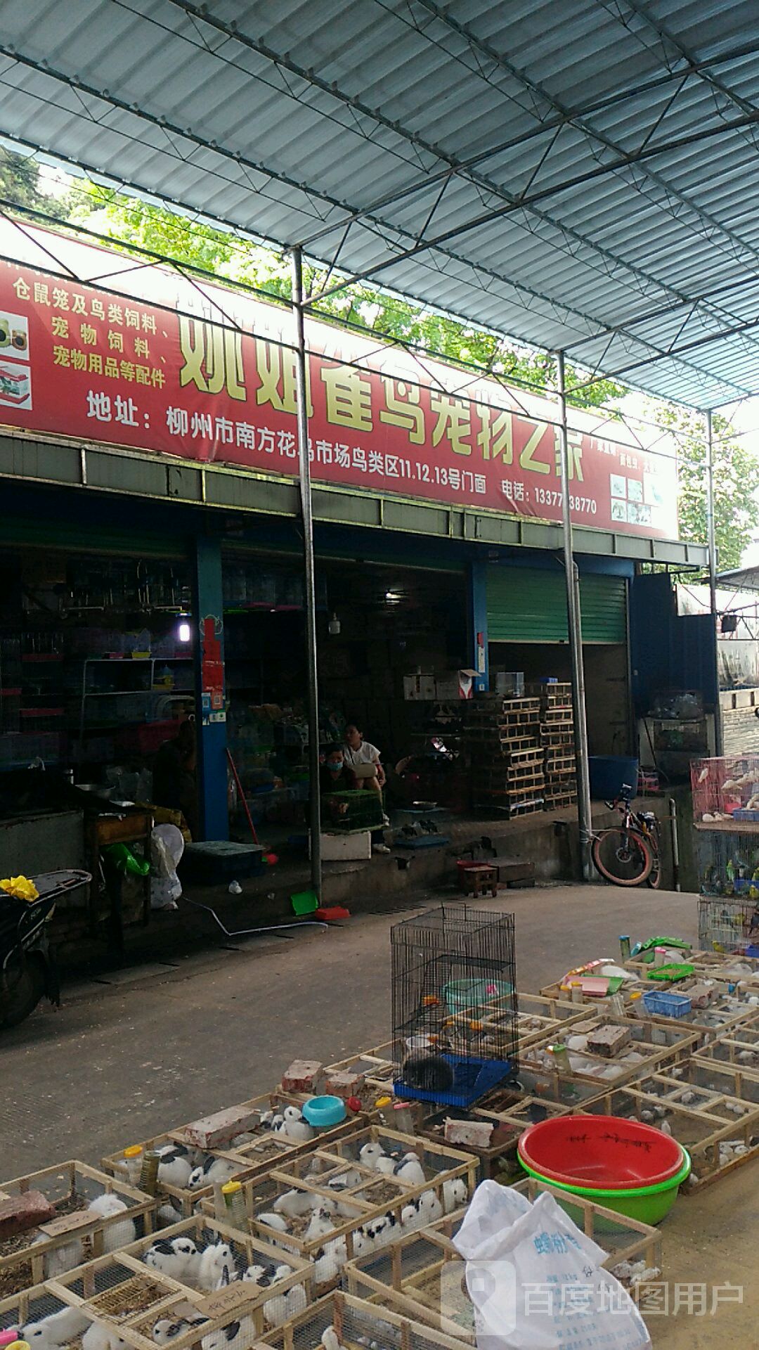 姚姐宠物