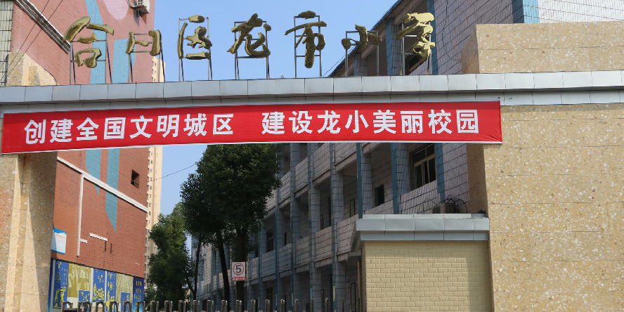 龙小博学