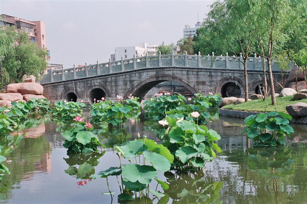 九莲塘公园(黄山中路)