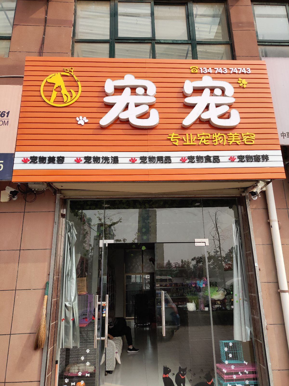 宠宠专业宠物美容(中心大街南段店)