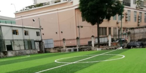 江南训练基地足球场