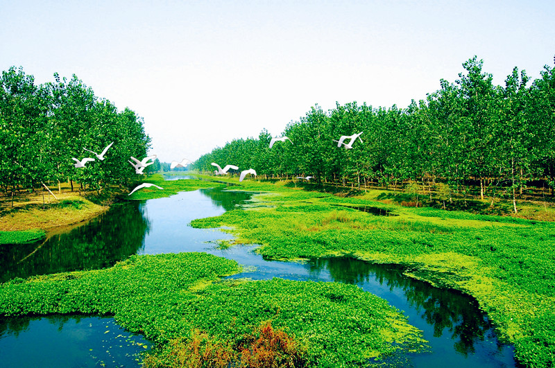 大沙河国家湿地公园