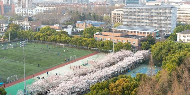 同济樱花道